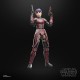 Star Wars: Maul - Shadow Lord Black Series Action Figure Rook Kast 15 cm