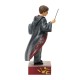 Jim Shore - Harry Potter Magical Moment (Harry Potter Robe Scene)