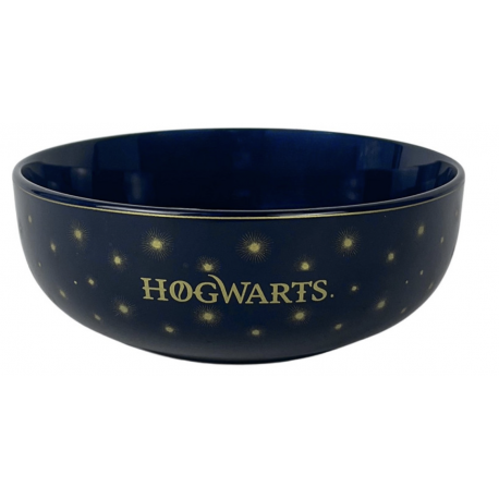 Harry Potter - Hogwarts Kom