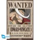 One Piece - Poster Maxi 91.5x61 - Wanted Whitebeard (212)