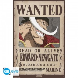 One Piece - Poster Maxi 91.5x61 - Wanted Whitebeard (212)