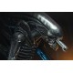NECA Alien 1/4 Action Figure Big Chap 56 cm