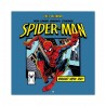 Spider-Man Wall Calendar 2027 30 x 30 cm